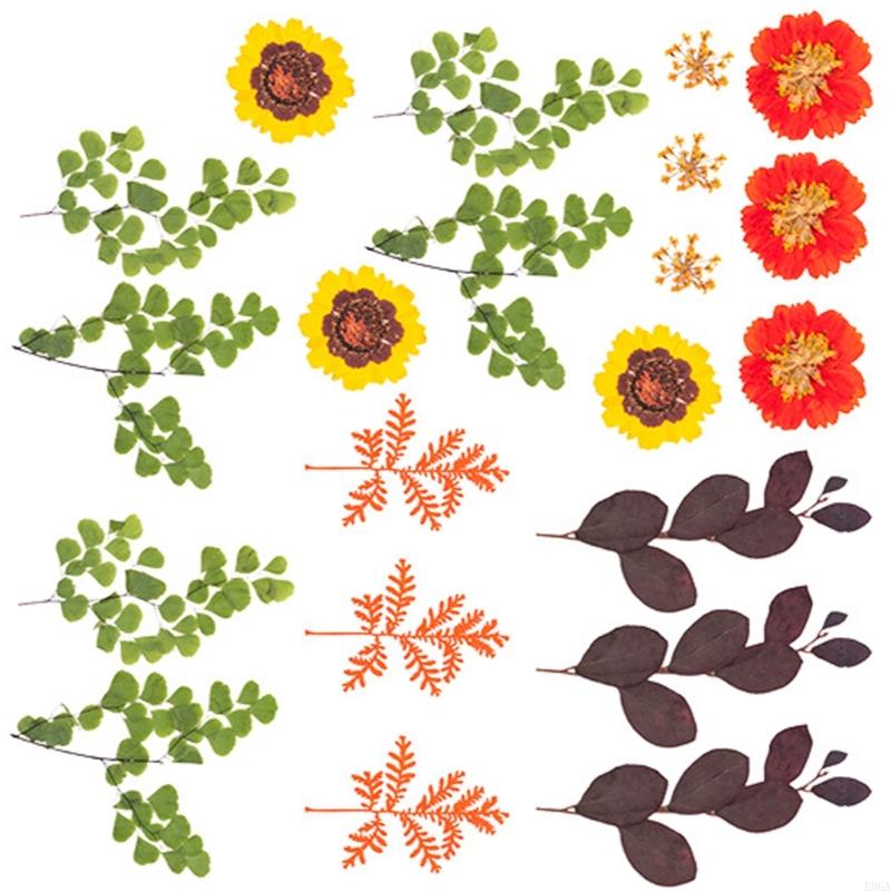 Natural Pressed Dried Flower F - огляд і ціна Resin Craft Ideas