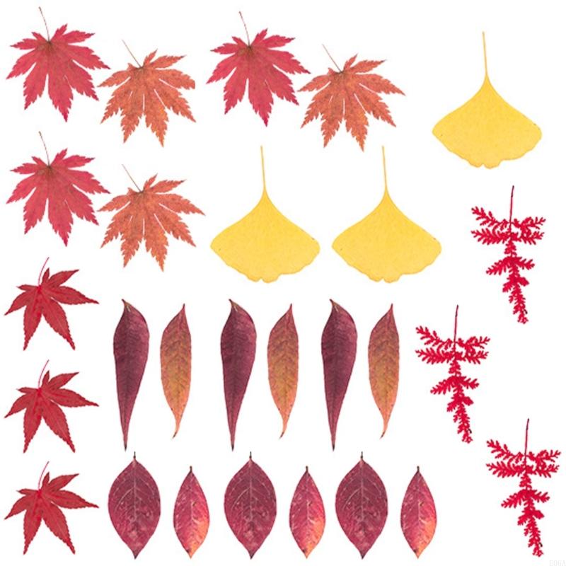 Natural Pressed Dried Flower F - огляд і ціна Resin Craft Ideas